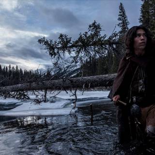 The Revenant wallpaper