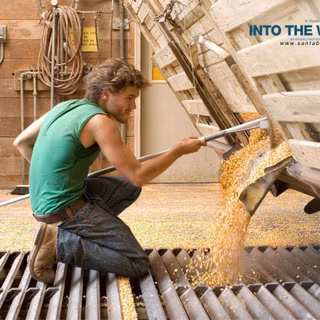 Into the Wild wallpaper