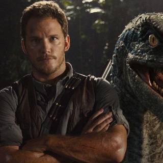 Velociraptor wallpaper