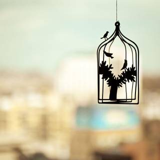 Photographer wallpaper