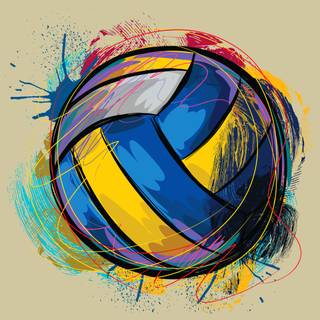 Volley Ball Wallpaper