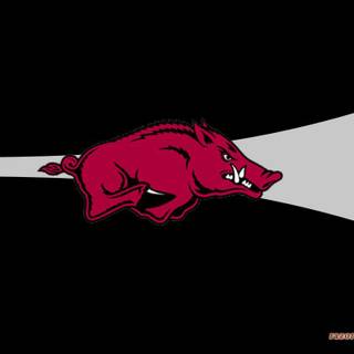 Arkansas wallpaper