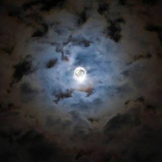 Frightening wallpaper