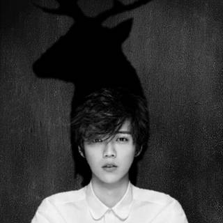 Lu Han wallpaper