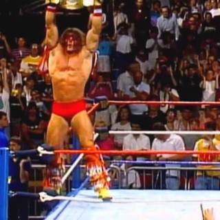 The Ultimate Warrior wallpaper