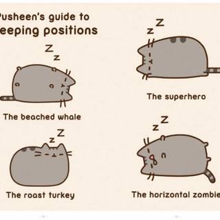 Pusheen the cat wallpaper