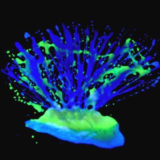 Glow in the dark wallpaper