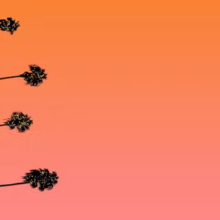 Good Vibes Only wallpaper