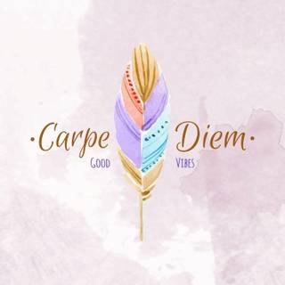 Good Vibes Only wallpaper