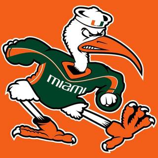Miami Hurricanes wallpaper