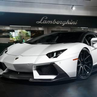 Lamborghinis wallpaper