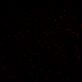 Dark black wallpaper