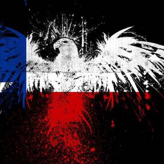 Texas wallpaper