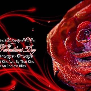 Best of love wallpaper