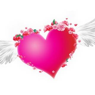 Best of love wallpaper