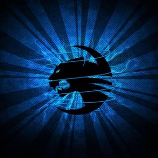 Roccat wallpaper