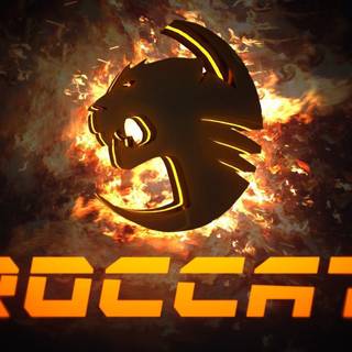 Roccat wallpaper