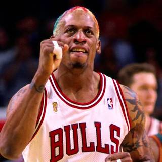 Dennis Rodman wallpaper