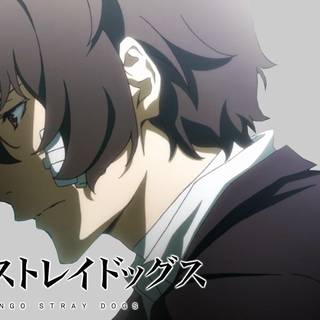 Bungo Stray Dogs wallpaper