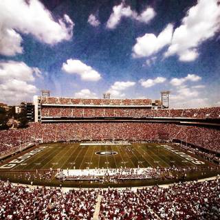 Georgia Bulldogs wallpaper