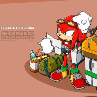 Knuckles the Echidna wallpaper