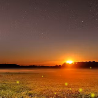 Samsung Galaxy J7 wallpaper