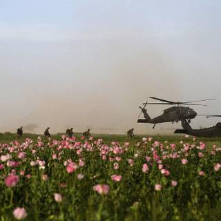 Sikorsky UH-60 Black Hawk wallpaper