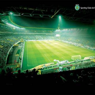 Sporting CP wallpaper