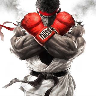 Street Fighter V wallpaper