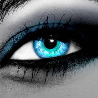 Turquoise eyes wallpaper