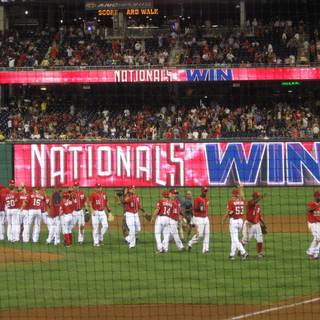 Washington Nationals wallpaper