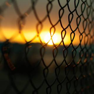 Fence wallpaper