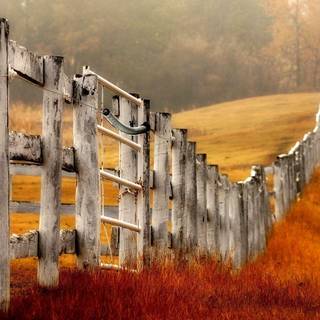 Fence wallpaper