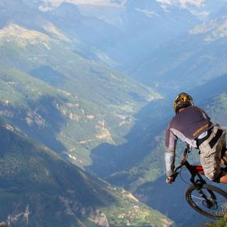 Mountain bikes wallpaper