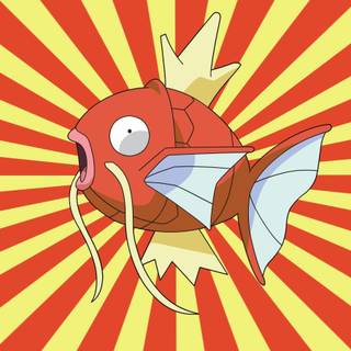 Magikarp wallpaper