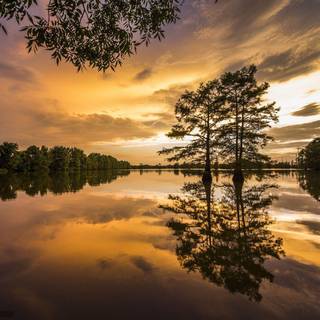 Mississippi wallpaper