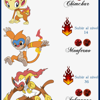 Chimchar wallpaper
