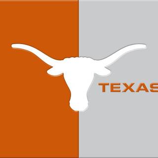 Texas Longhorns wallpaper