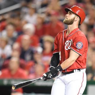 Bryce Harper wallpaper