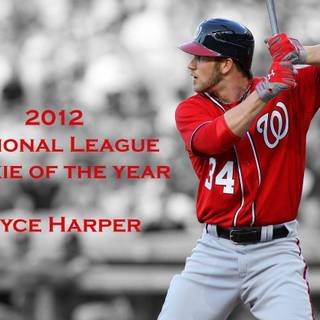 Bryce Harper wallpaper