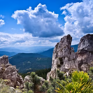 Pretty landscape wallpaper