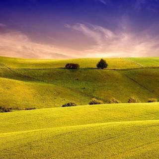 Pretty landscape wallpaper