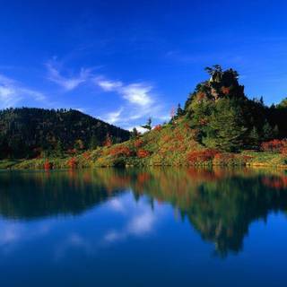 Pretty landscape wallpaper