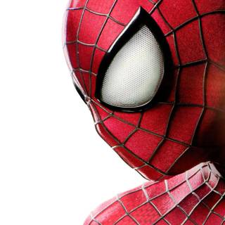 Amazing Spider Man wallpaper