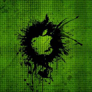 Spray painting wallpaper