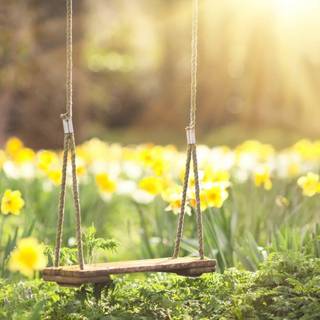 Swing wallpaper