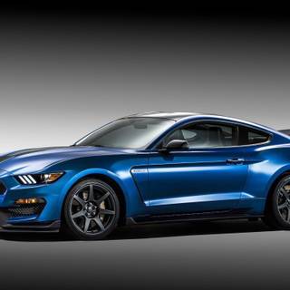 Ford Mustang Shelby GT350 wallpaper