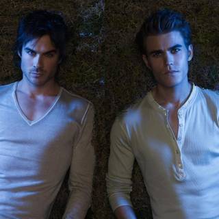 Stefan Salvatore wallpaper