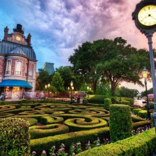 Stanford University wallpaper