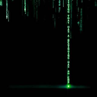 Green and black wallpaper